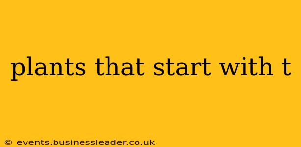 plants that start with t