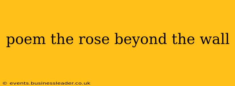 poem the rose beyond the wall