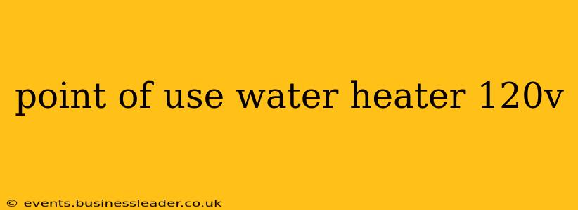 point of use water heater 120v