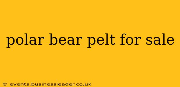 polar bear pelt for sale