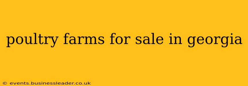 poultry farms for sale in georgia