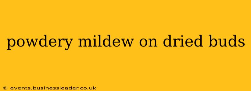 powdery mildew on dried buds