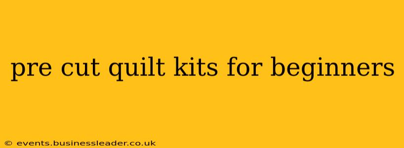 pre cut quilt kits for beginners