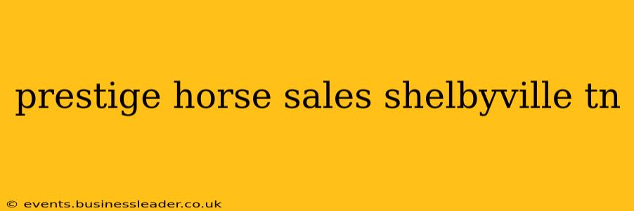 prestige horse sales shelbyville tn
