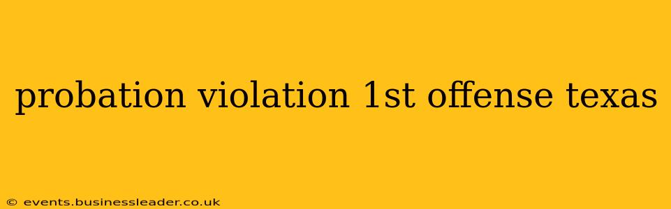 probation violation 1st offense texas