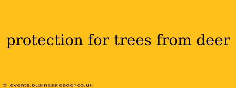 protection for trees from deer