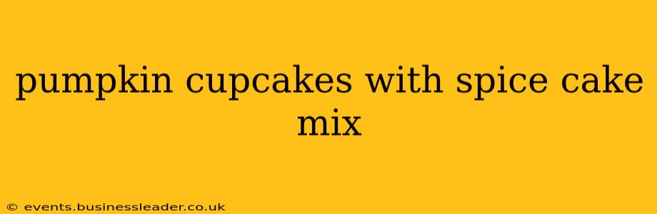 pumpkin cupcakes with spice cake mix