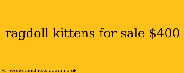 ragdoll kittens for sale $400