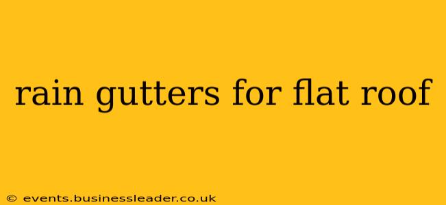 rain gutters for flat roof