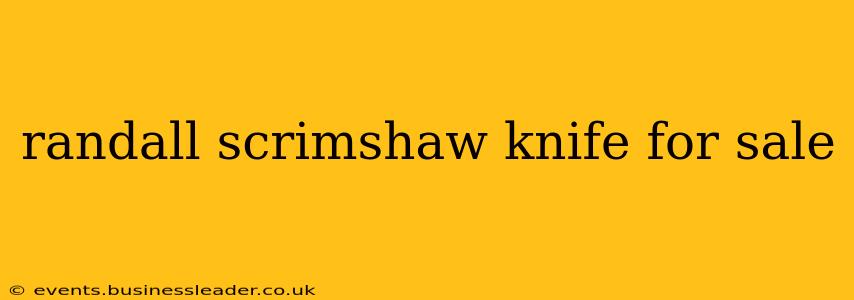 randall scrimshaw knife for sale
