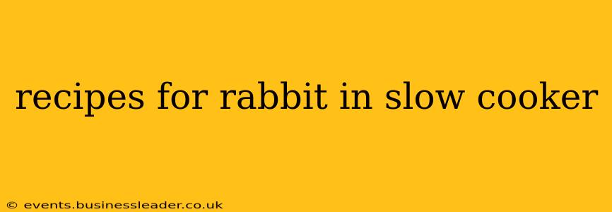 recipes for rabbit in slow cooker