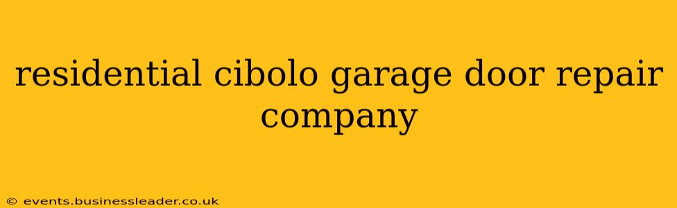 residential cibolo garage door repair company