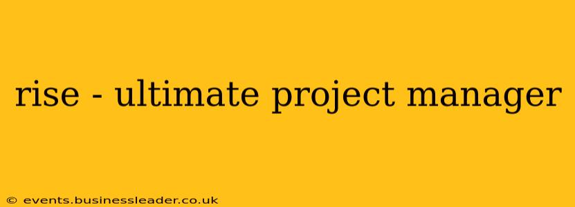 rise - ultimate project manager