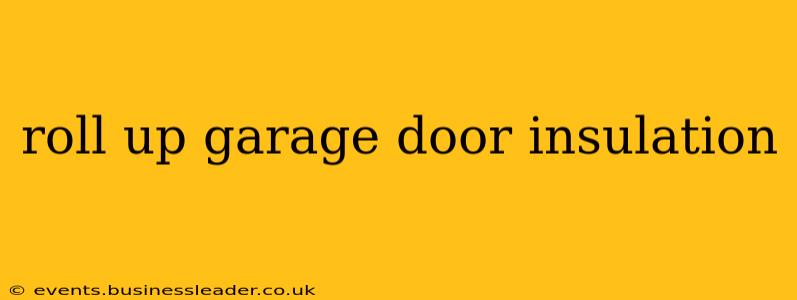 roll up garage door insulation