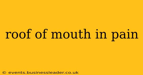 roof of mouth in pain