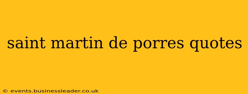 saint martin de porres quotes