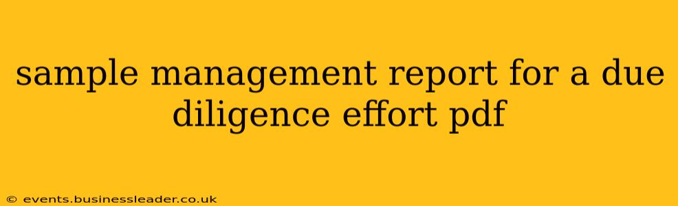 sample management report for a due diligence effort pdf