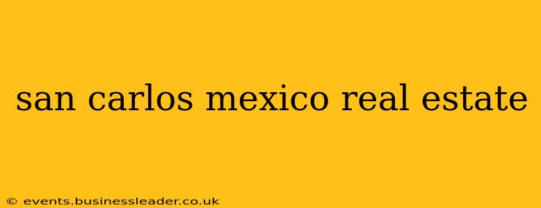 san carlos mexico real estate