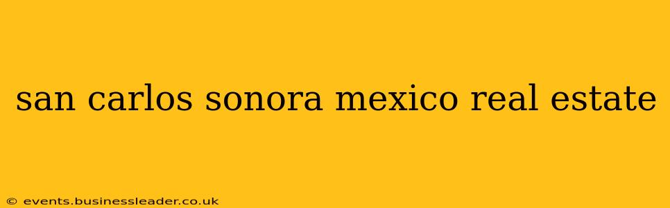 san carlos sonora mexico real estate
