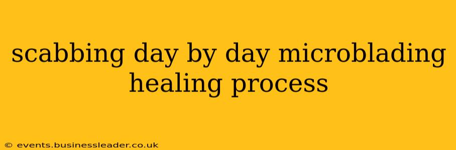 scabbing day by day microblading healing process