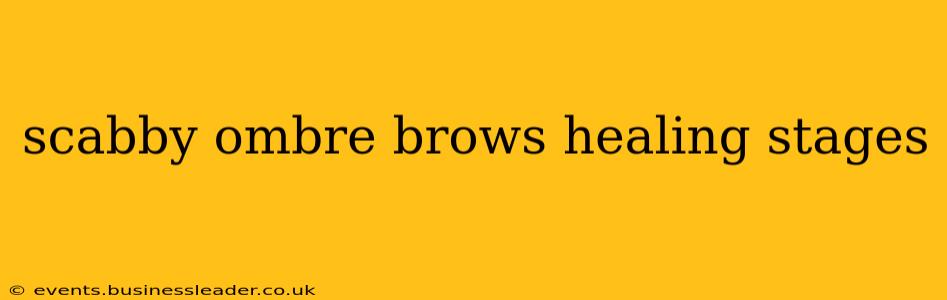 scabby ombre brows healing stages