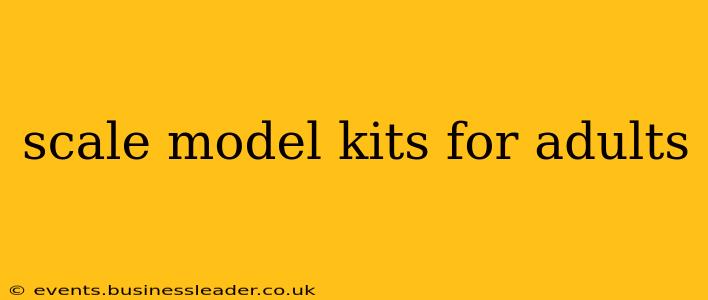 scale model kits for adults