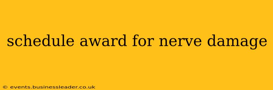 schedule award for nerve damage