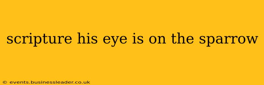 scripture his eye is on the sparrow
