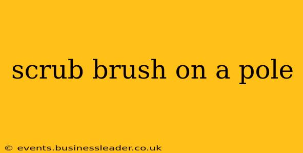 scrub brush on a pole