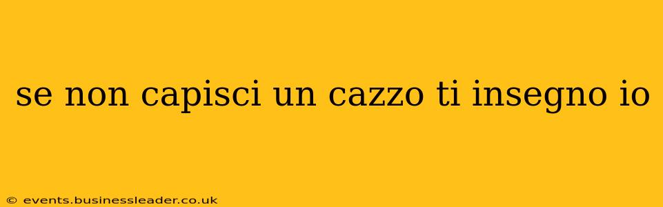 se non capisci un cazzo ti insegno io se non capisci un cazzo ti insegno io