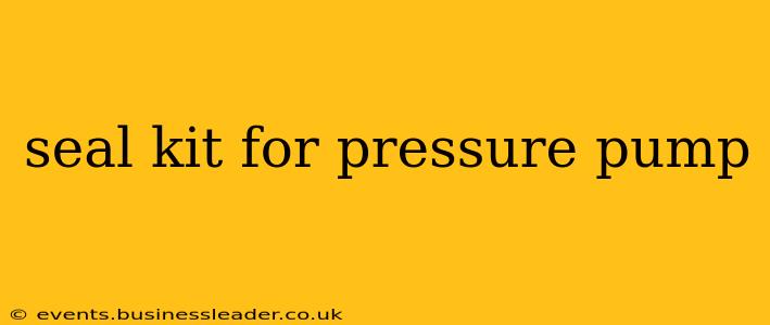 seal kit for pressure pump