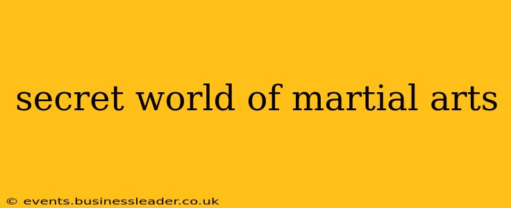 secret world of martial arts