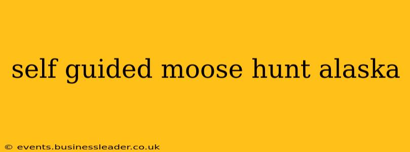self guided moose hunt alaska