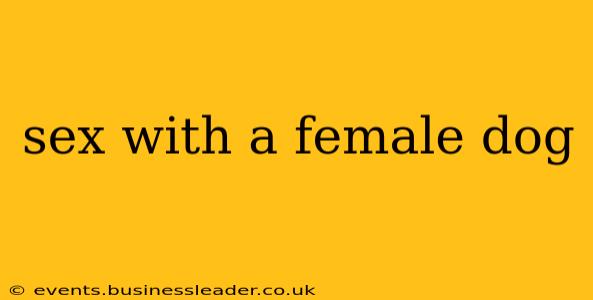 sex with a female dog