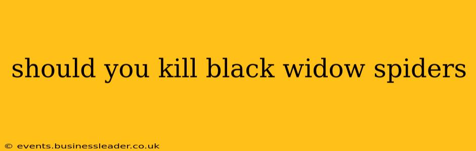 should you kill black widow spiders