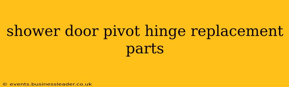 shower door pivot hinge replacement parts