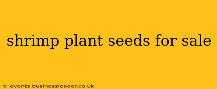 shrimp plant seeds for sale