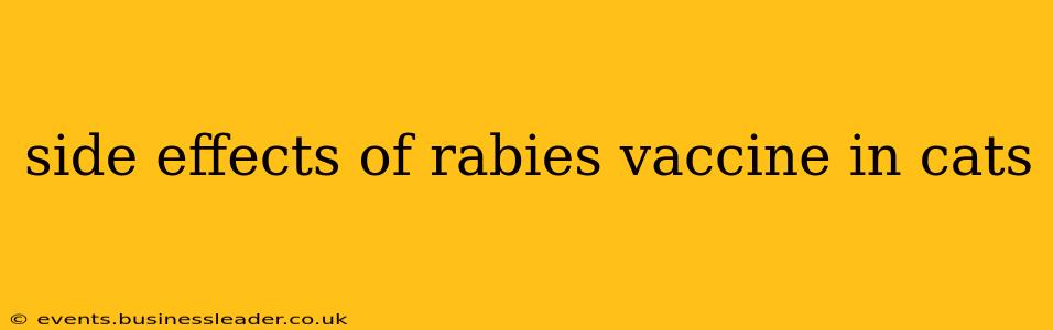 side effects of rabies vaccine in cats