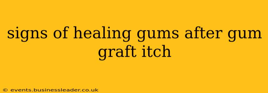 signs of healing gums after gum graft itch