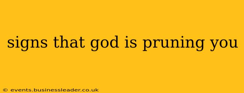 signs that god is pruning you