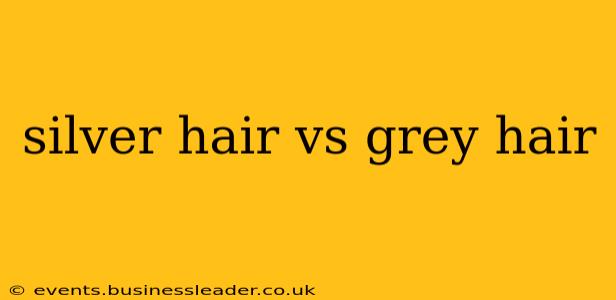 silver hair vs grey hair