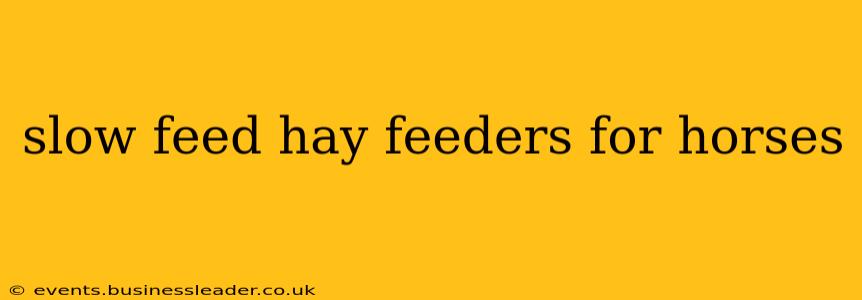 slow feed hay feeders for horses