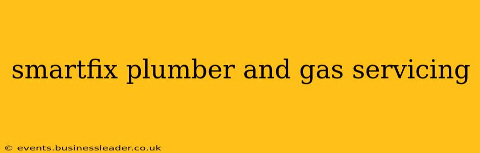 smartfix plumber and gas servicing