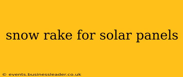 snow rake for solar panels