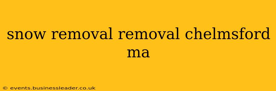 snow removal removal chelmsford ma