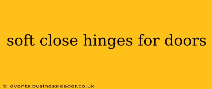 soft close hinges for doors
