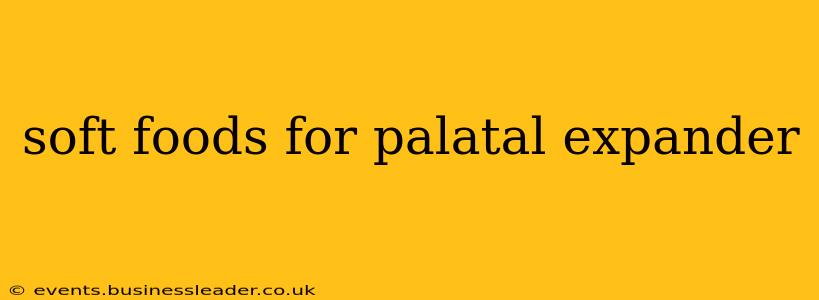 soft foods for palatal expander