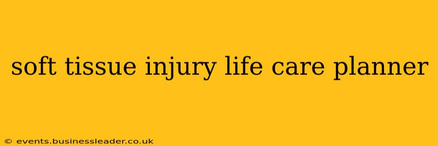 soft tissue injury life care planner