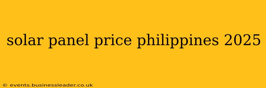 solar panel price philippines 2025