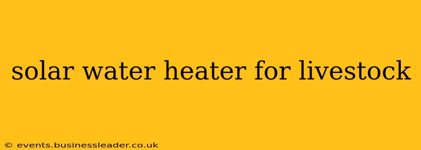 solar water heater for livestock